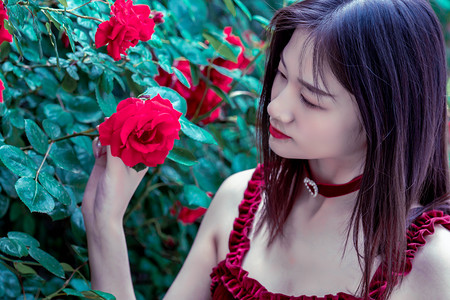 聚焦供应链深度协同 多国外宾看好投资四川机遇